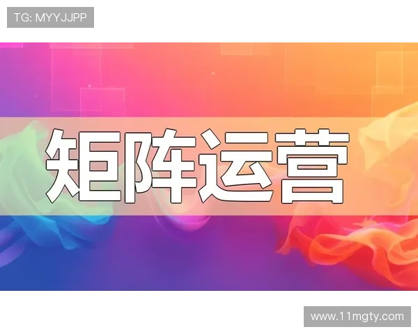 多线直播新纪元：多平台同步运营与流量聚合策略探析